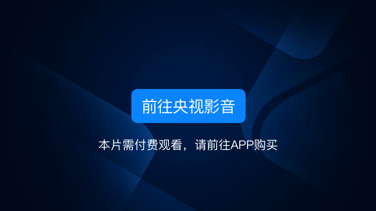 央视影音app官方免费,豪华精英版79.26.45-江GO121,127.13