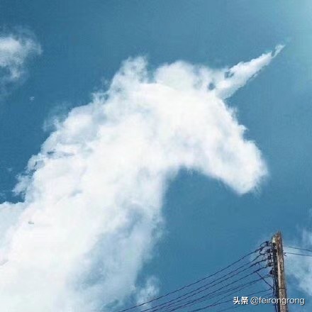 （还记得那片天空 电影）