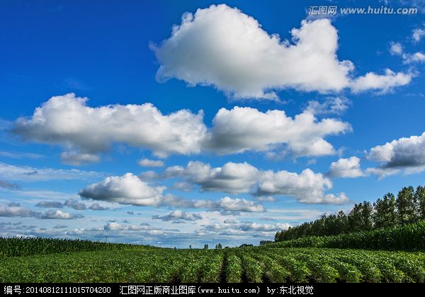 （还记得那片天空 电影）