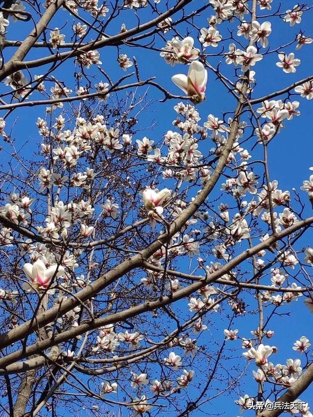 （还记得那片天空 电影）