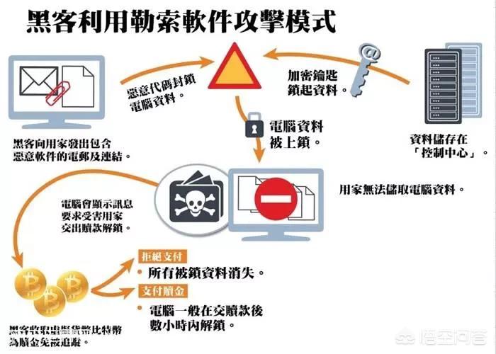 白俄罗斯总统选举，白俄总统任期